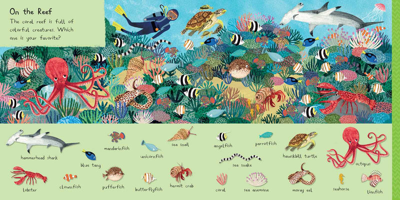 Simon & Schuster - 101 Sea Creatures to Find by: Board Books; 14 pages / English