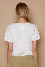 Pol Clothing - Colored trim v-neck short sleeve solid basic knit top: PALE SAGE / S