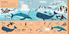 Simon & Schuster - 101 Sea Creatures to Find by: Board Books; 14 pages / English
