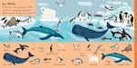 Simon & Schuster - 101 Sea Creatures to Find by: Board Books; 14 pages / English
