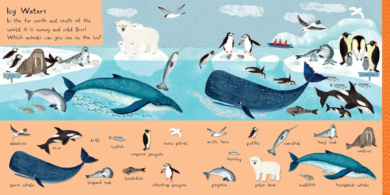 Simon & Schuster - 101 Sea Creatures to Find by: Board Books; 14 pages / English