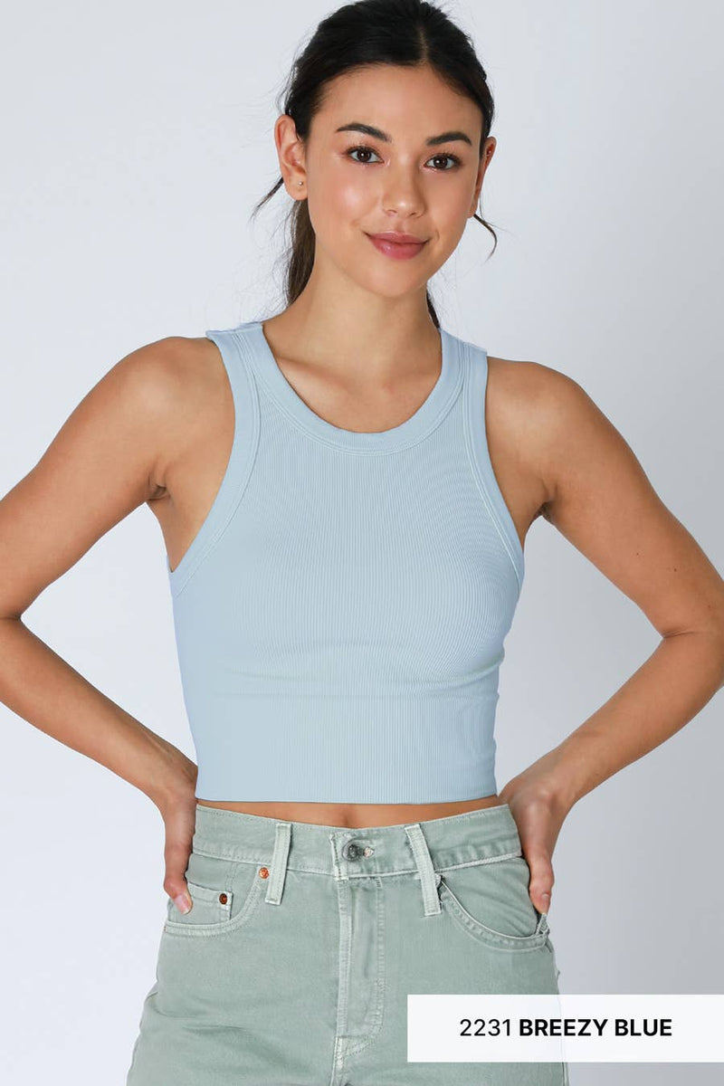 Ribbed High Neck Crop Top: 2231 Breezy Blue