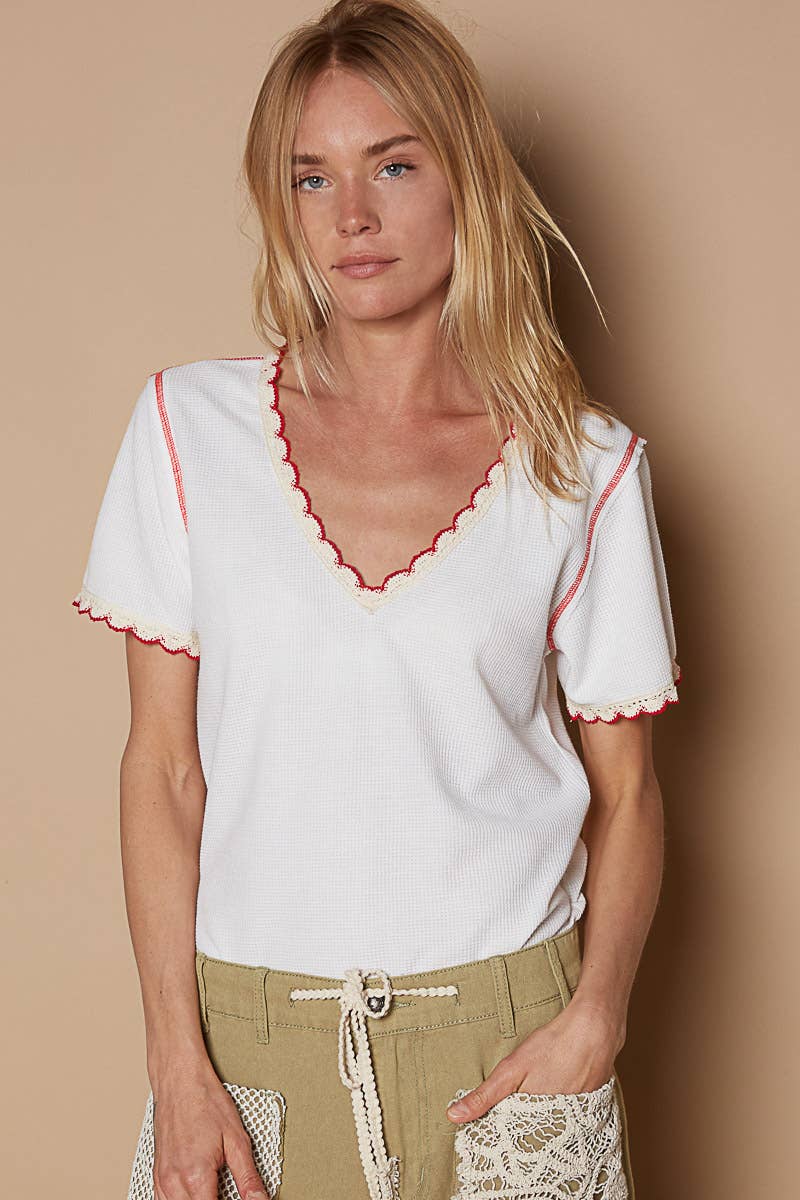 Pol Clothing - Colored trim v-neck short sleeve solid basic knit top: PALE SAGE / S