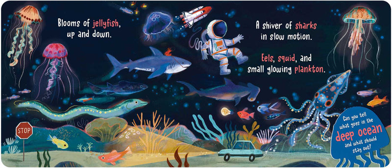 Simon & Schuster - What Goes in the Ocean? by Dori Elys: Board Books; 16 pages / English