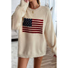 Knit Round Neck Flag Print Loose Fit Sweater: BEIGE